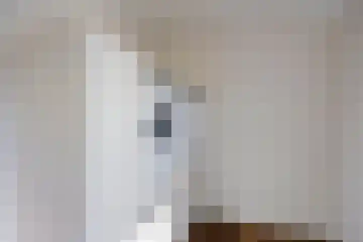 Biesveld 7 Someren thumbnail 37