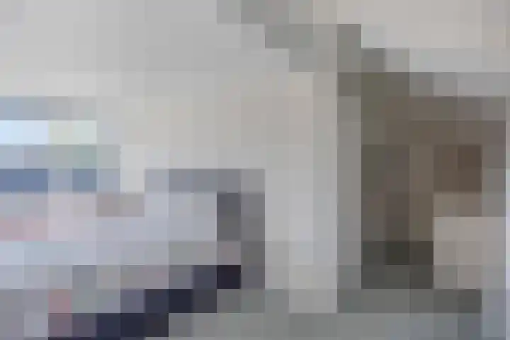 Biesveld 7 Someren thumbnail 38