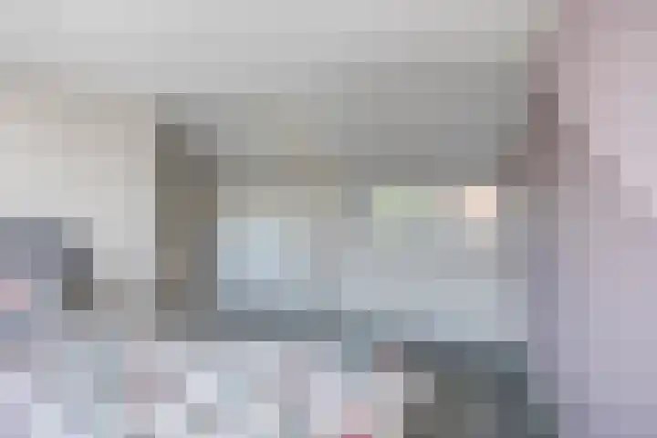 Biesveld 7 Someren thumbnail 40