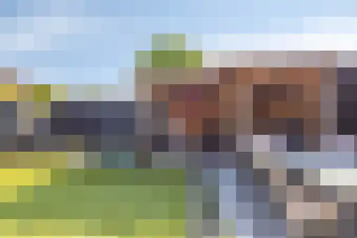 Biesveld 7 Someren thumbnail 41