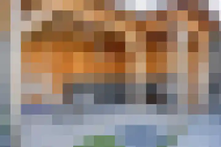 Biesveld 7 Someren thumbnail 42