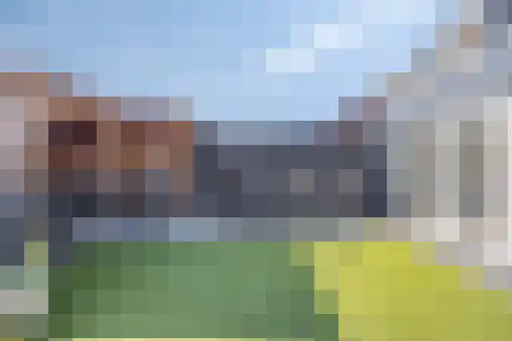 Biesveld 7 Someren thumbnail 44