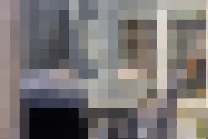 Biesveld 7 Someren thumbnail 45