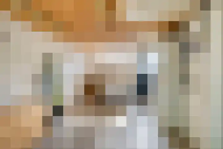 Biesveld 7 Someren thumbnail 47