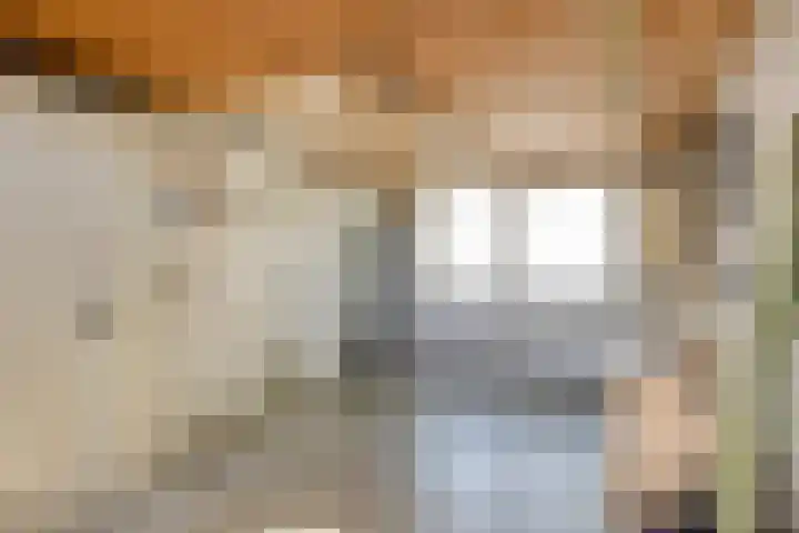 Biesveld 7 Someren thumbnail 48