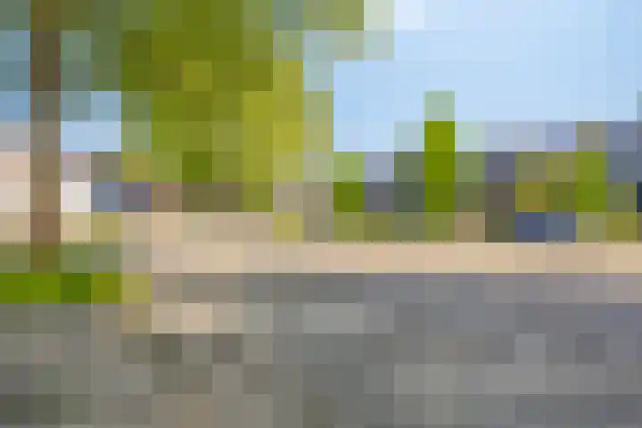 Biesveld 7 Someren thumbnail 51