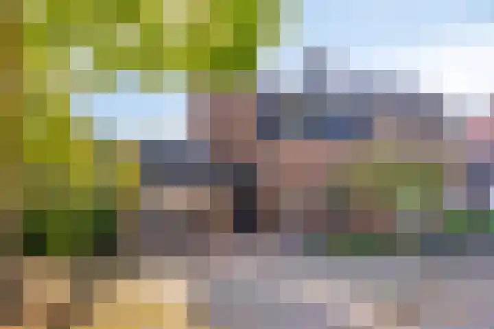 Biesveld 7 Someren thumbnail 57