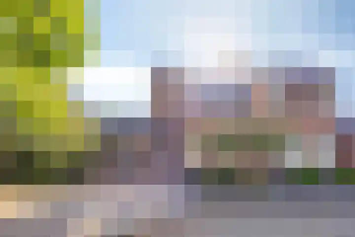 Biesveld 7 Someren thumbnail 7