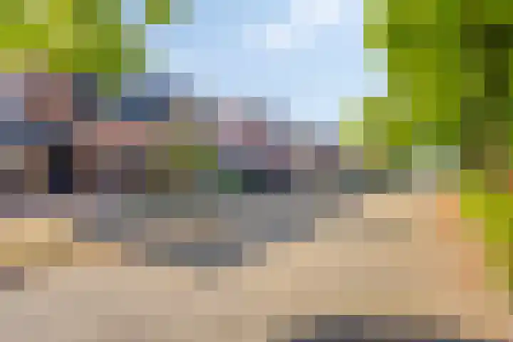 Biesveld 7 Someren thumbnail 9