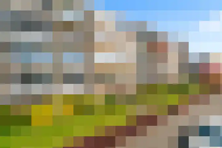 Biesveldje 10 Helmond thumbnail 11