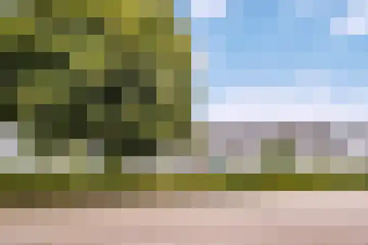 Biesveldje 10 Helmond thumbnail 6