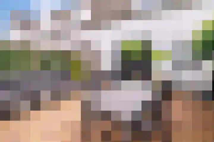 Biesveldje 10 Helmond thumbnail 7