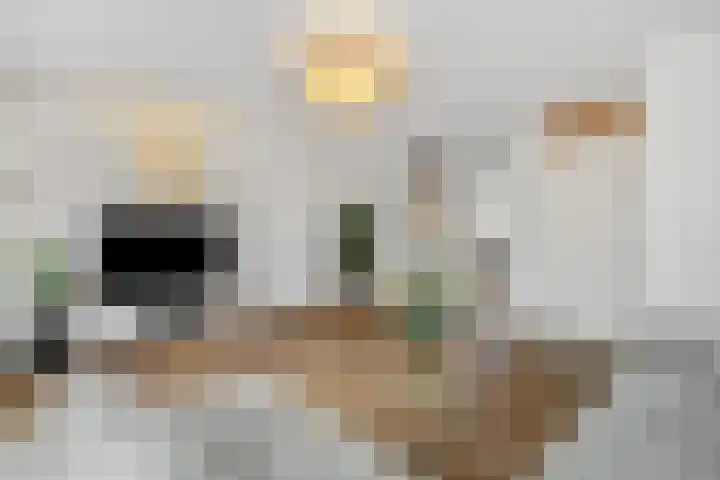 Biesveldje 21 Helmond thumbnail 10