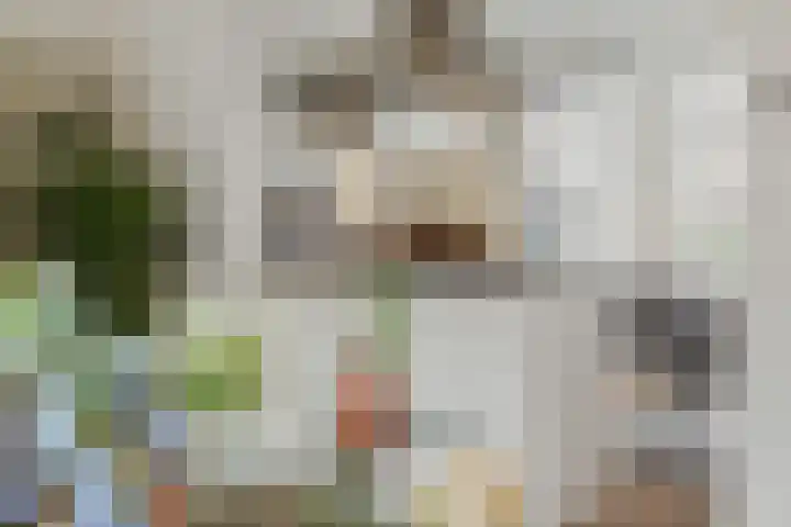 Biesveldje 21 Helmond thumbnail 11