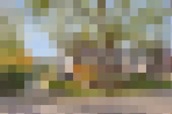 Biesveldje 21 Helmond thumbnail 13