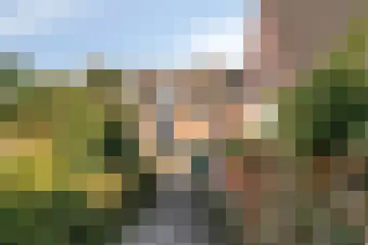 Biesveldje 21 Helmond thumbnail 16