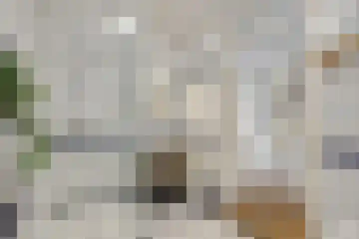 Biesveldje 21 Helmond thumbnail 22