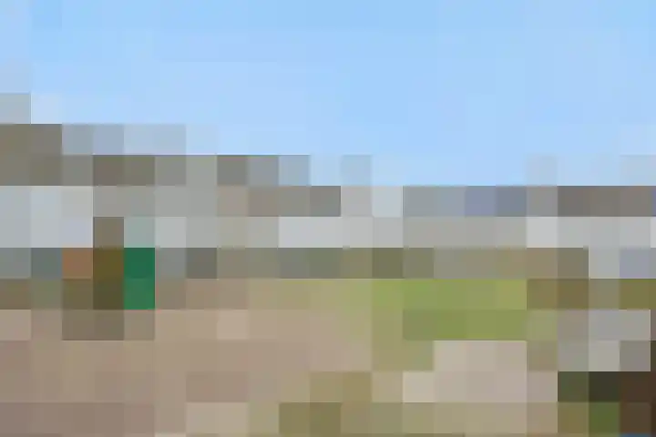 Biesveldje 21 Helmond foto 3