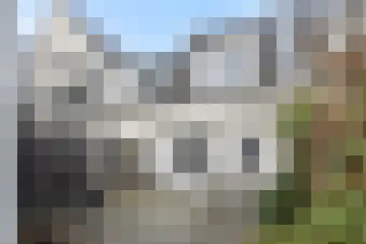 Biesveldje 21 Helmond thumbnail 32