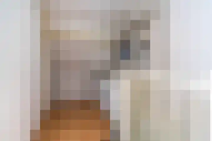 Biesveldje 5 Helmond thumbnail 26