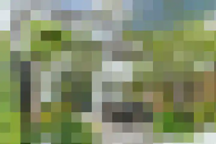 Biesveldje 5 Helmond thumbnail 30