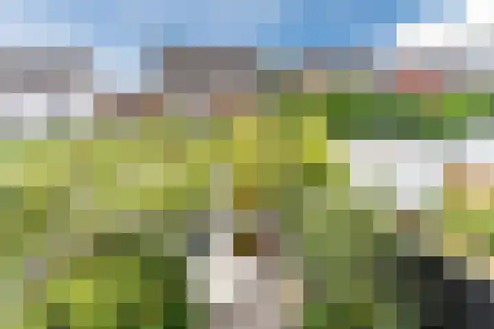 Biesveldje 5 Helmond thumbnail 32