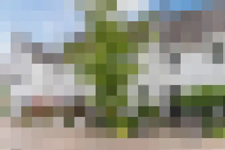 Biesveldje 5 Helmond thumbnail 33