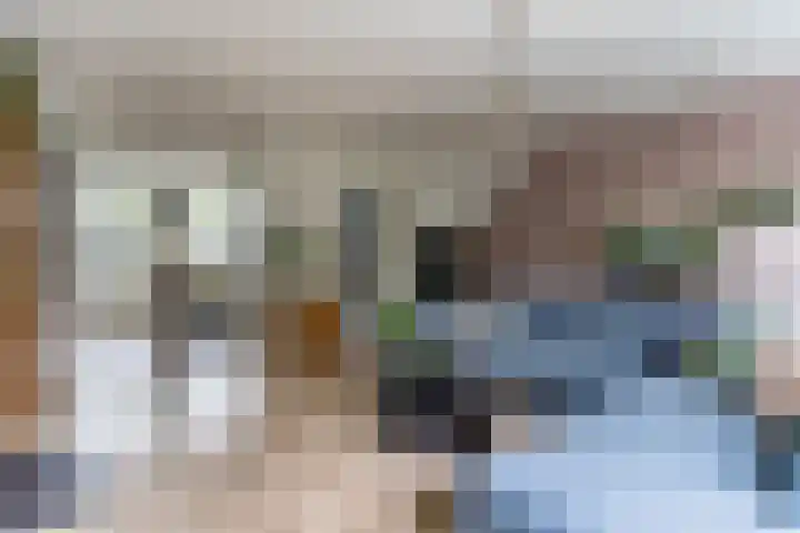 Biesveldje 5 Helmond thumbnail 7