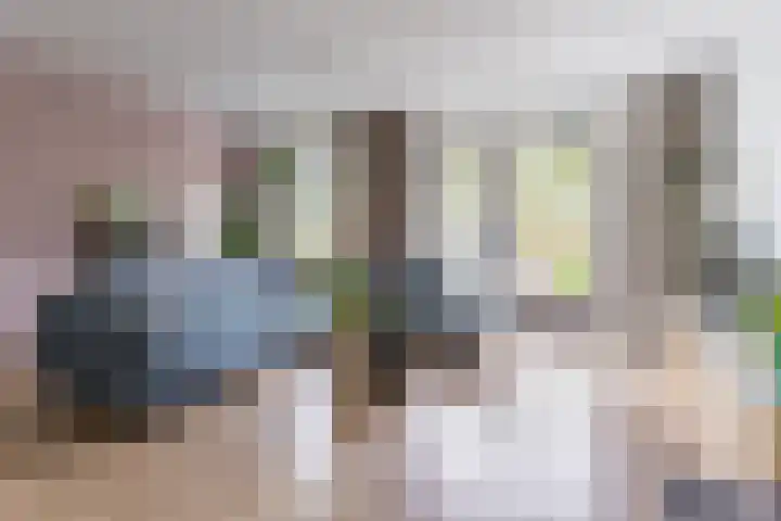 Biesveldje 5 Helmond thumbnail 8
