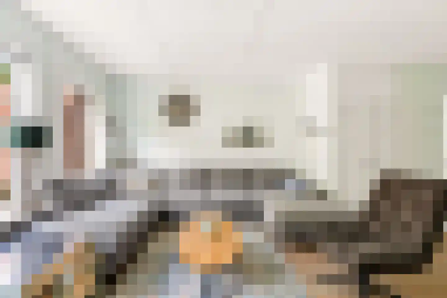 Bietenakker 29 Wezep thumbnail 11