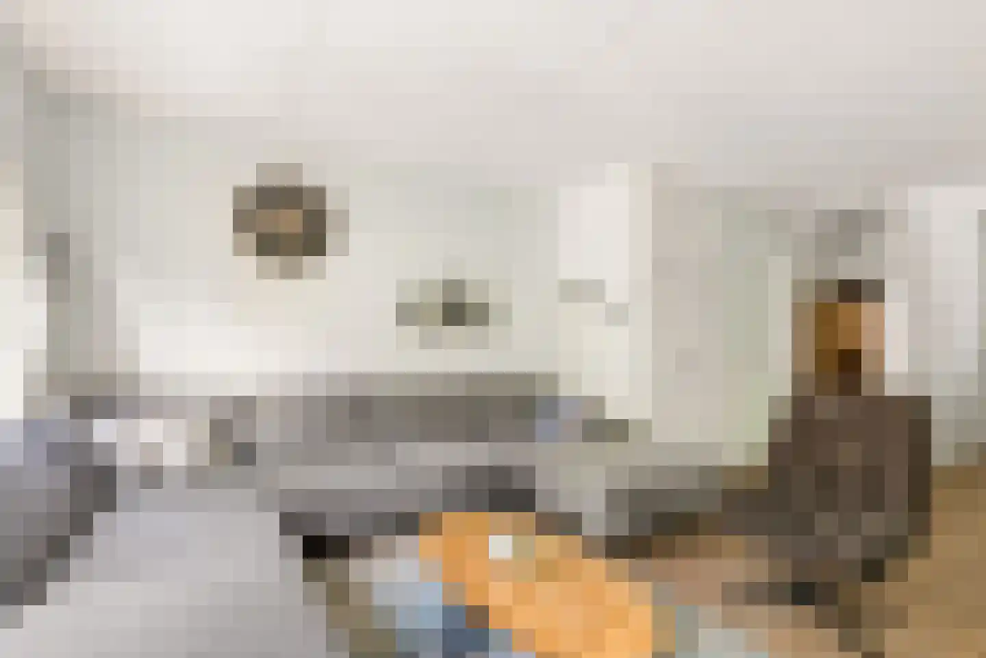 Bietenakker 29 Wezep thumbnail 13