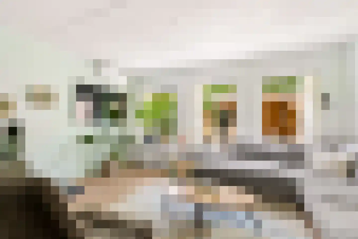 Bietenakker 29 Wezep thumbnail 14