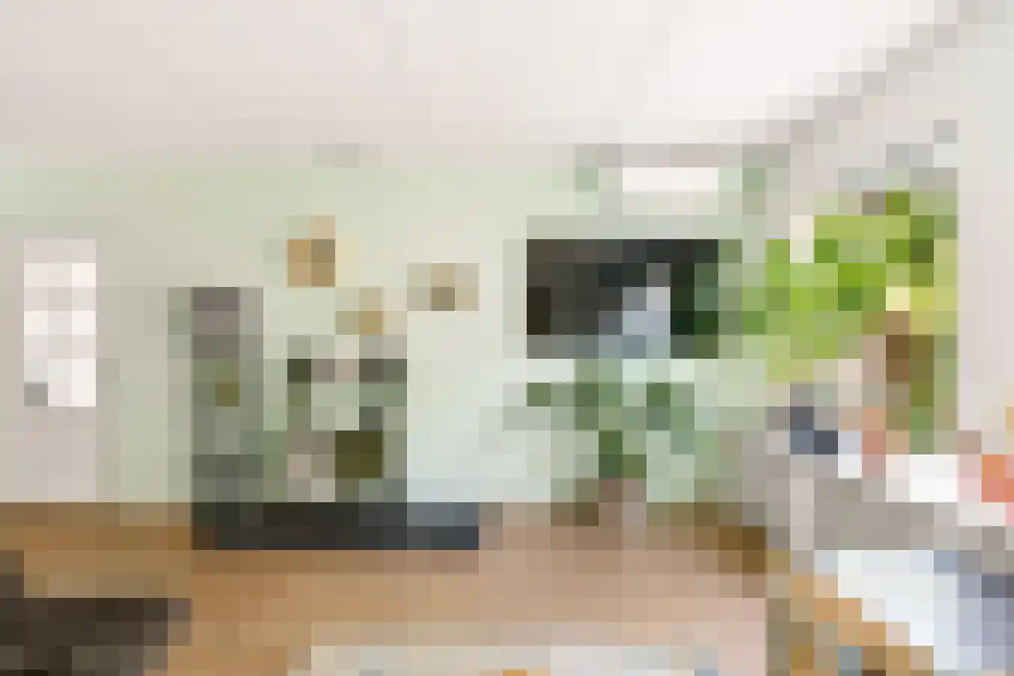 Bietenakker 29 Wezep thumbnail 15