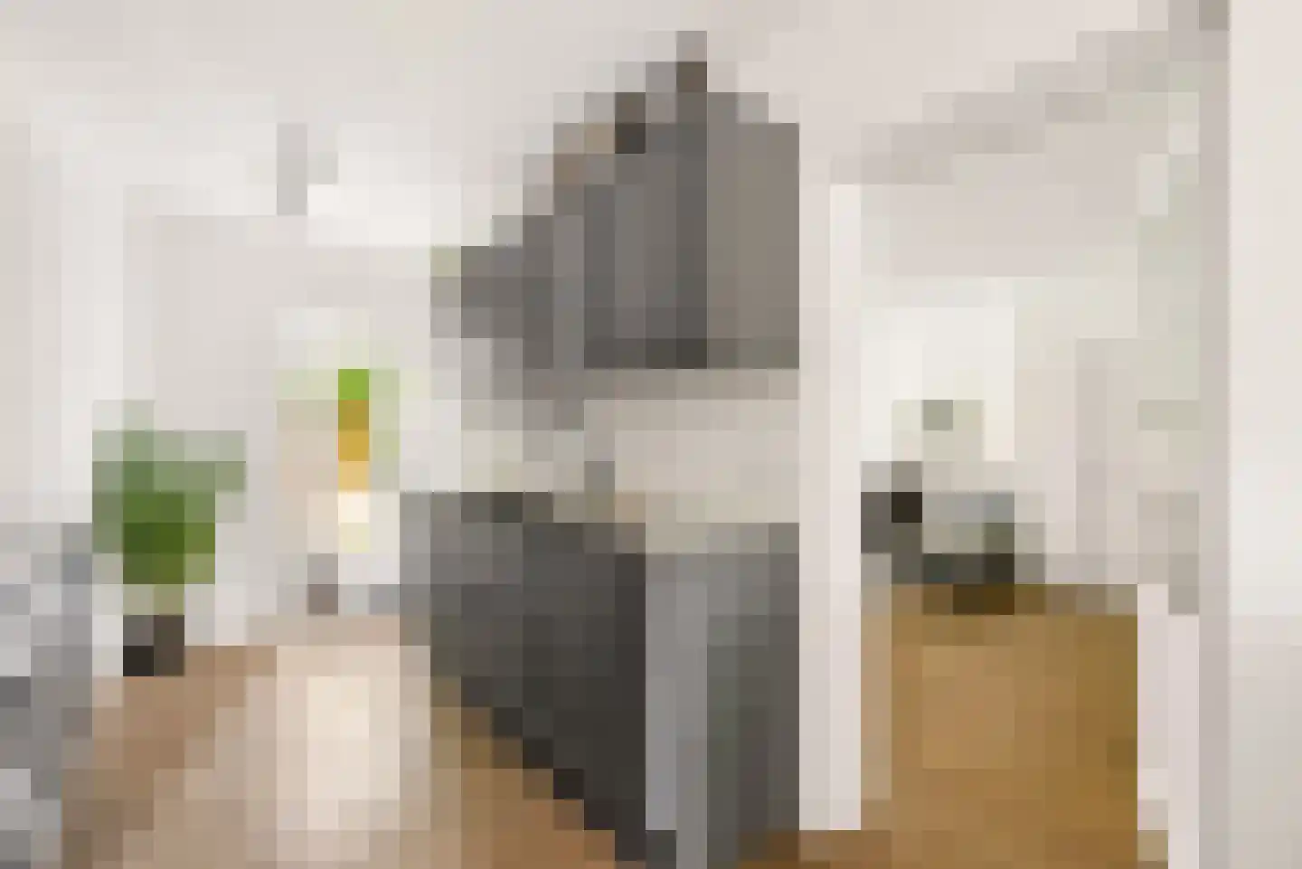 Bietenakker 29 Wezep thumbnail 21
