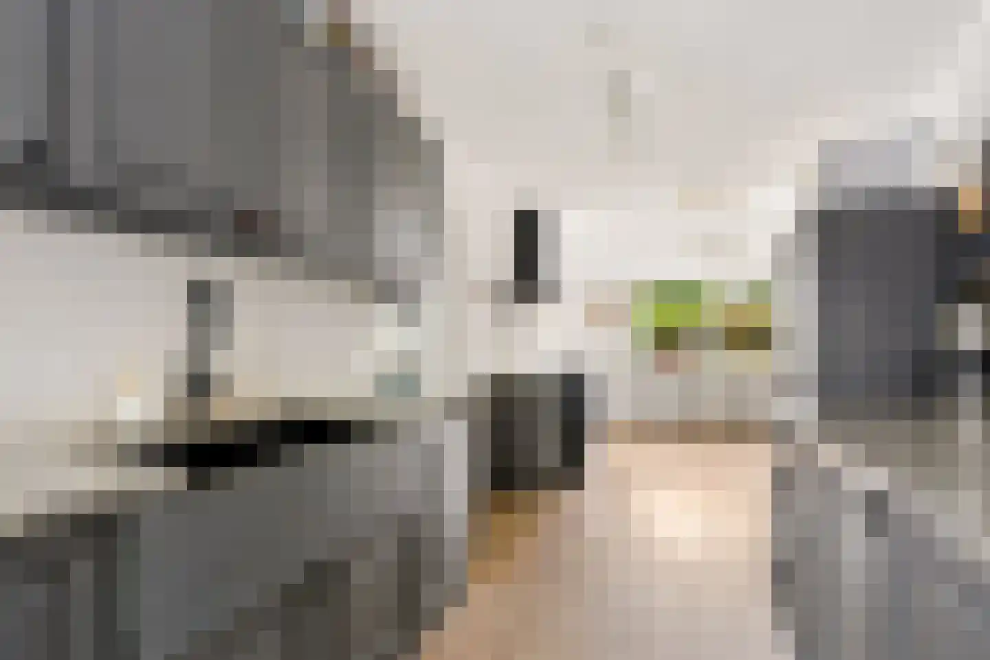 Bietenakker 29 Wezep thumbnail 23