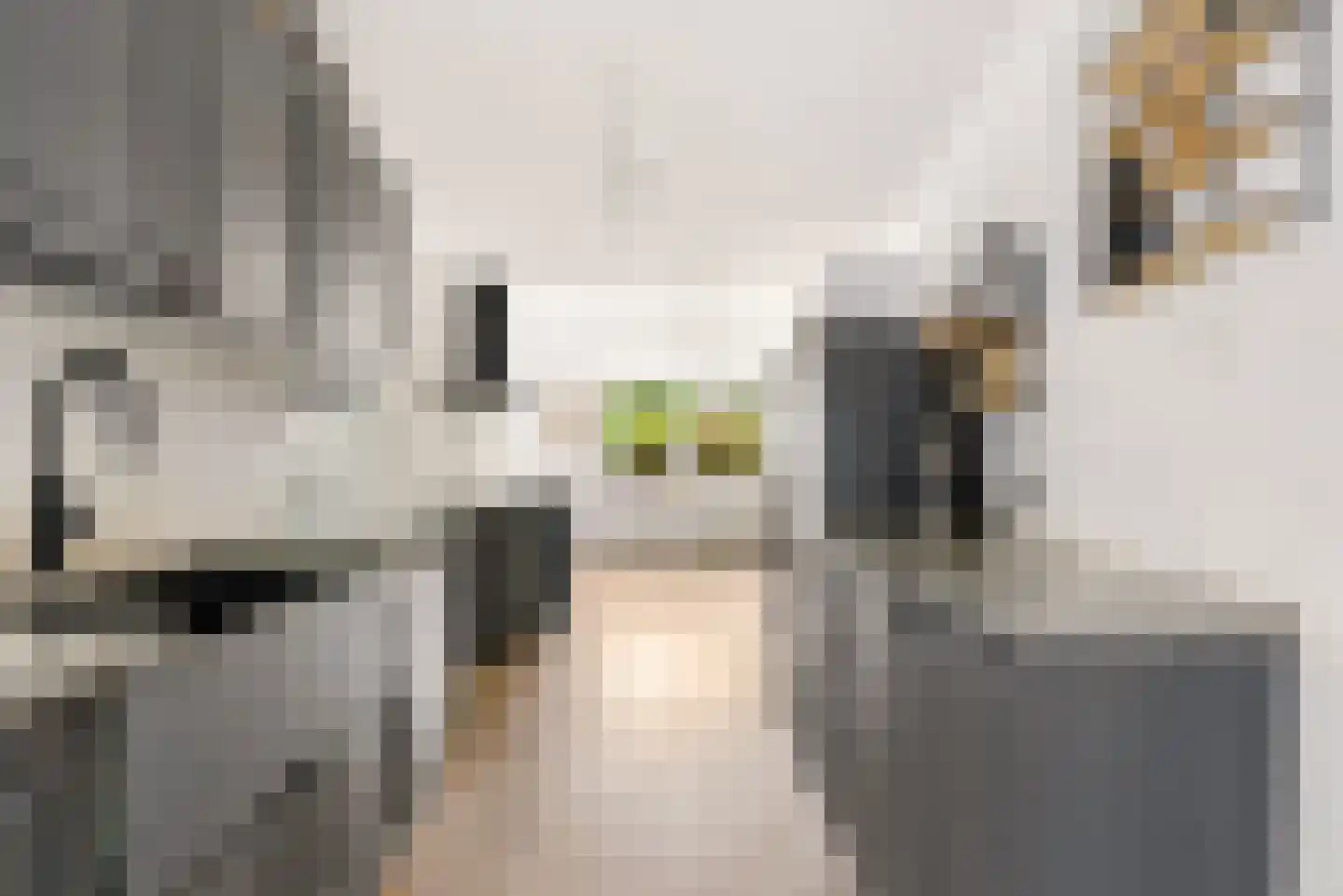 Bietenakker 29 Wezep thumbnail 27