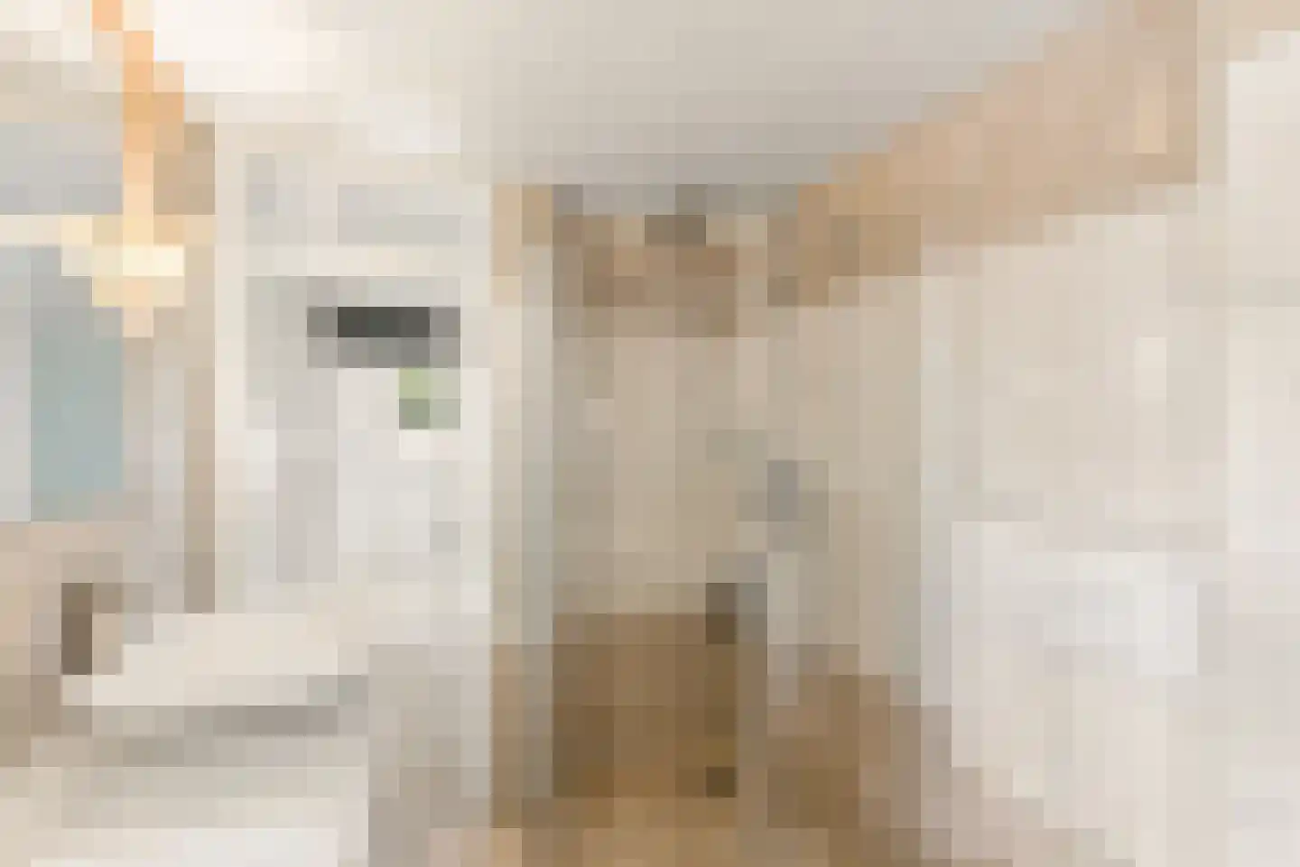 Bietenakker 29 Wezep thumbnail 37