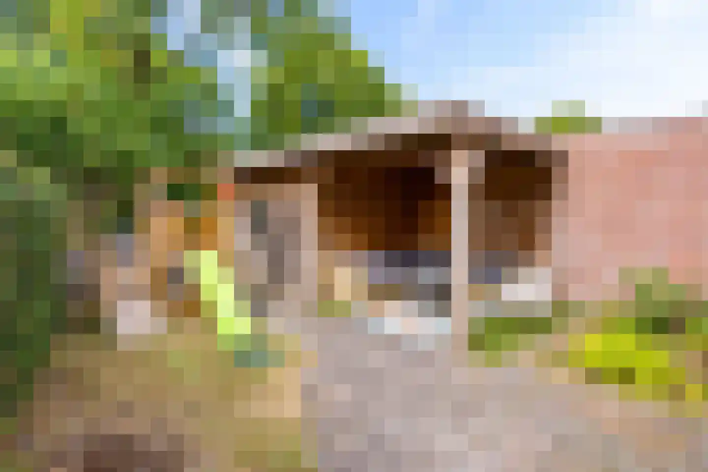 Bietenakker 29 Wezep thumbnail 44