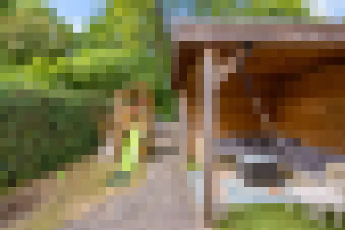 Bietenakker 29 Wezep thumbnail 46