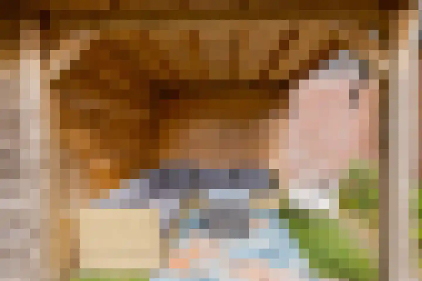Bietenakker 29 Wezep thumbnail 47