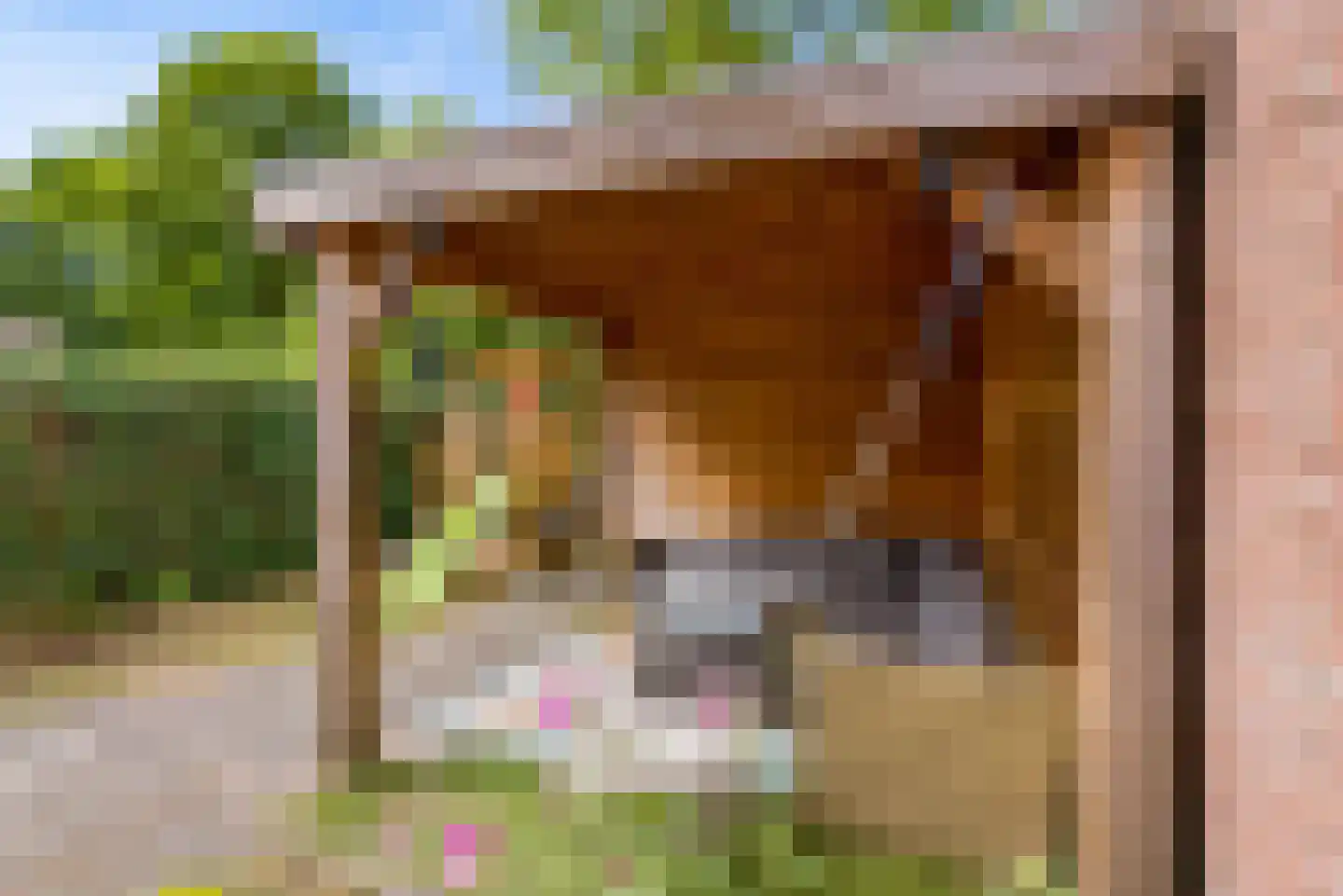 Bietenakker 29 Wezep thumbnail 48