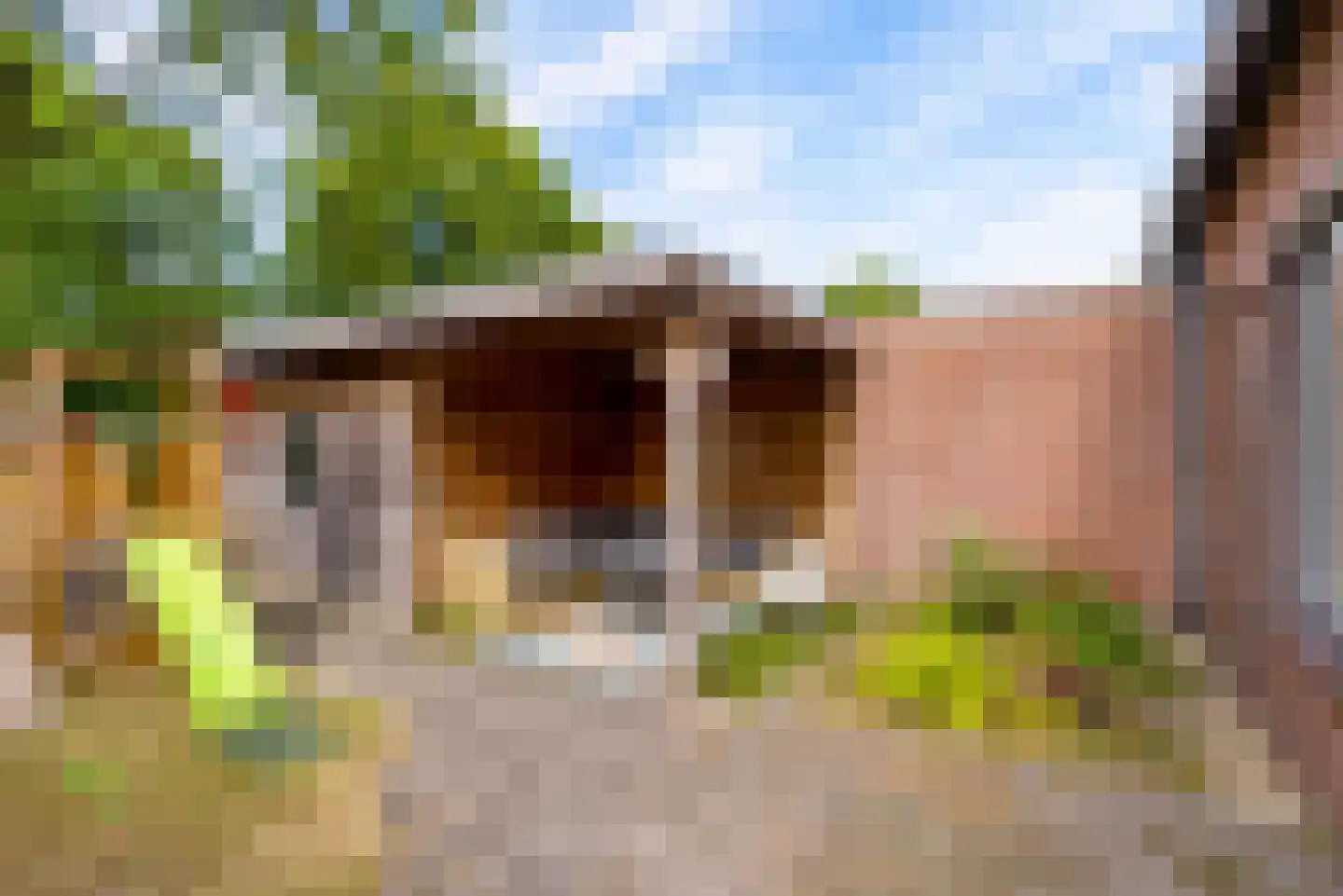 Bietenakker 29 Wezep thumbnail 50