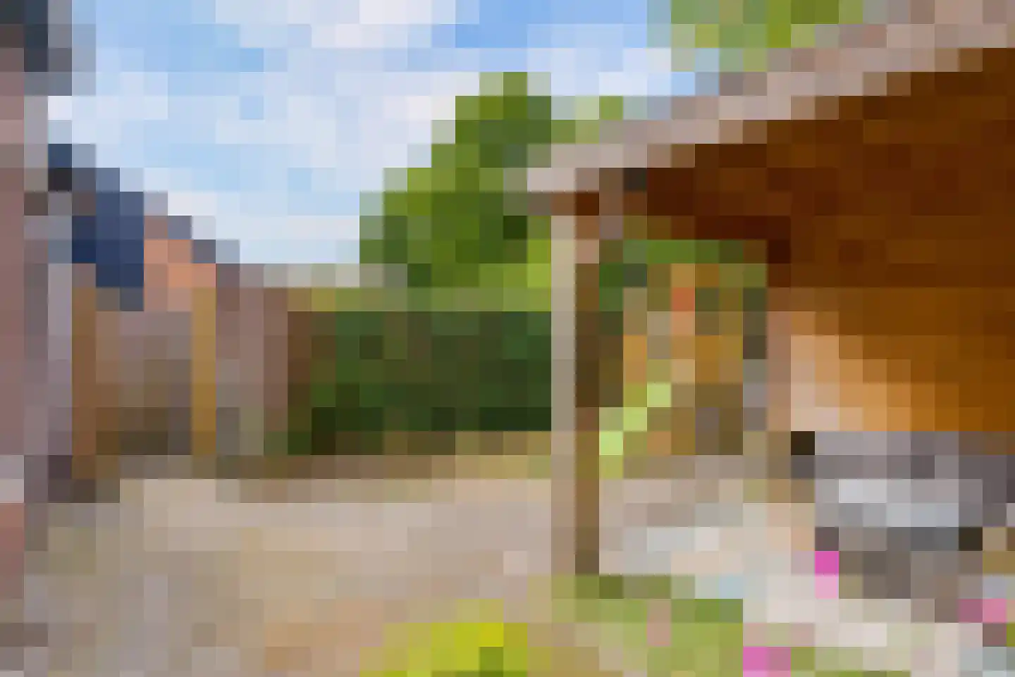 Bietenakker 29 Wezep thumbnail 51