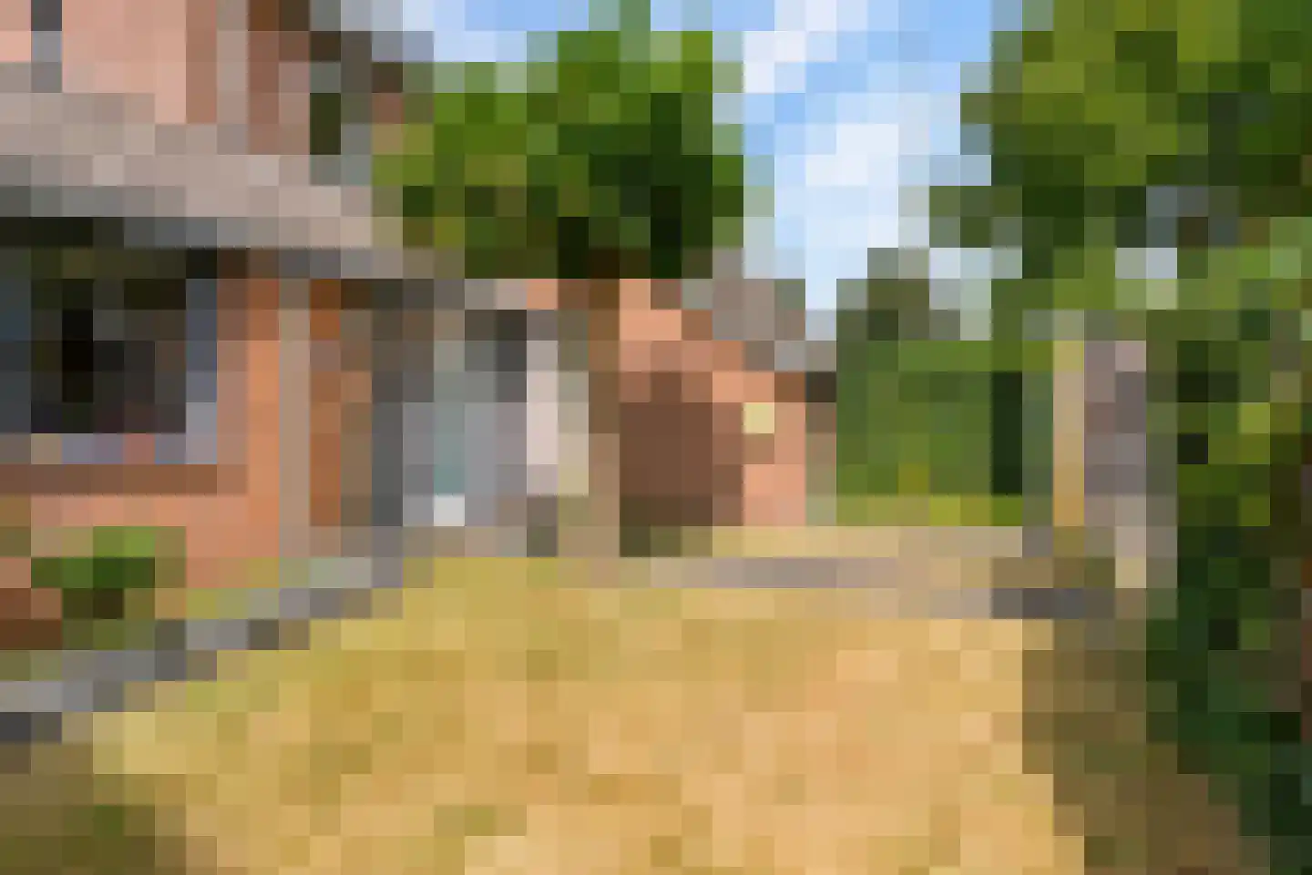 Bietenakker 29 Wezep thumbnail 53