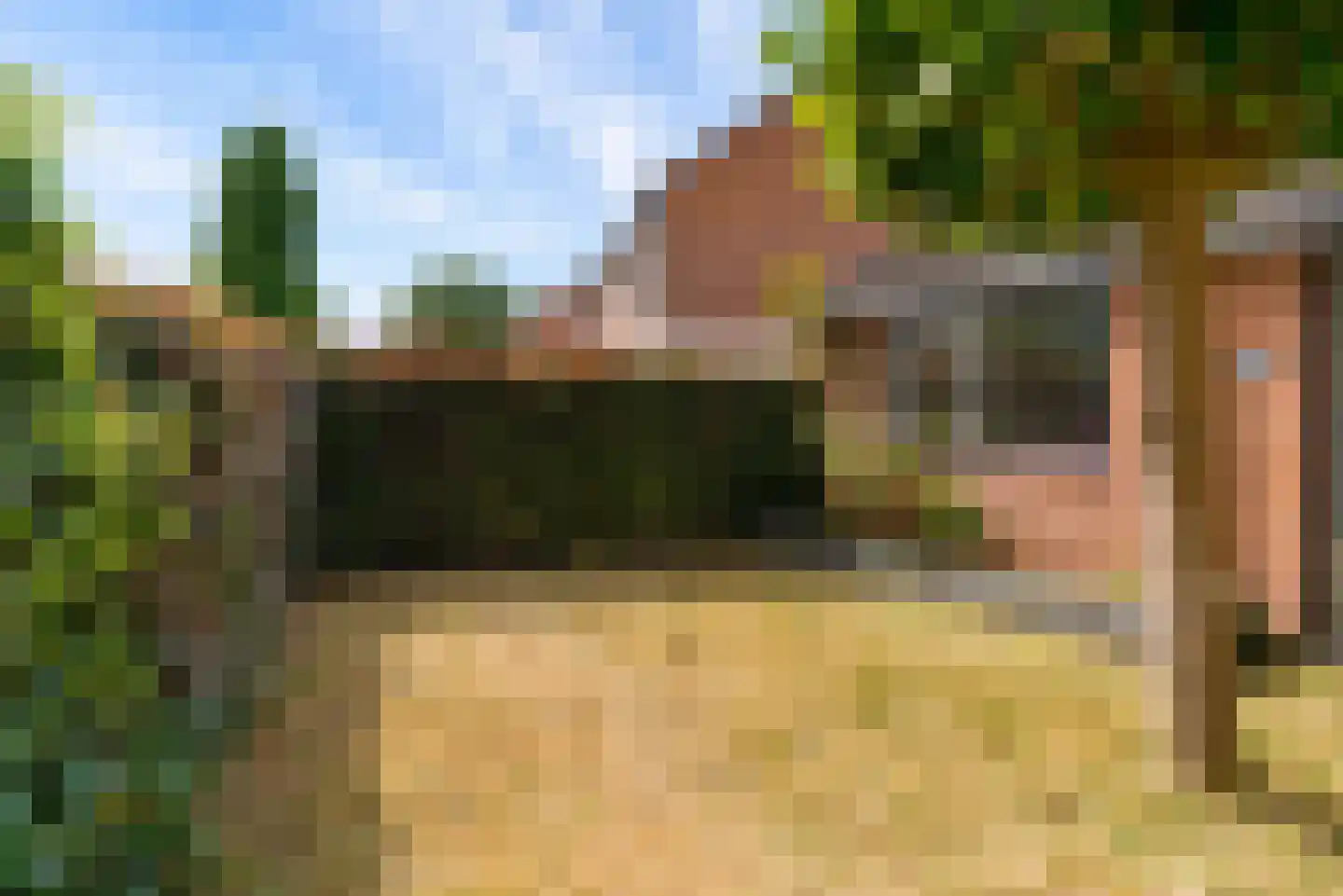 Bietenakker 29 Wezep thumbnail 54