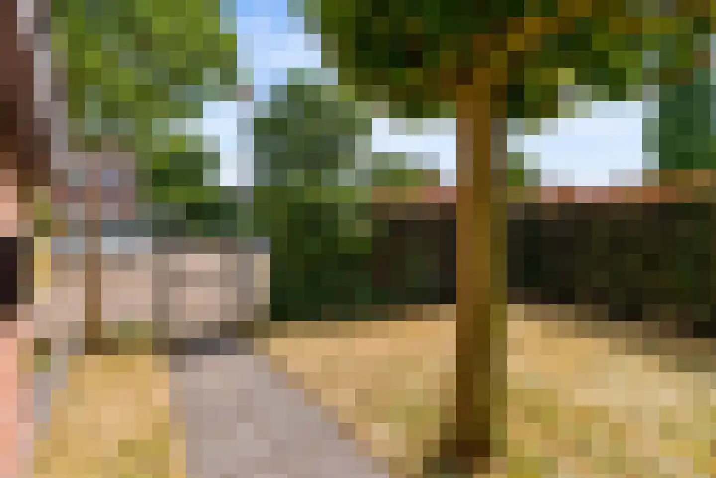 Bietenakker 29 Wezep thumbnail 55