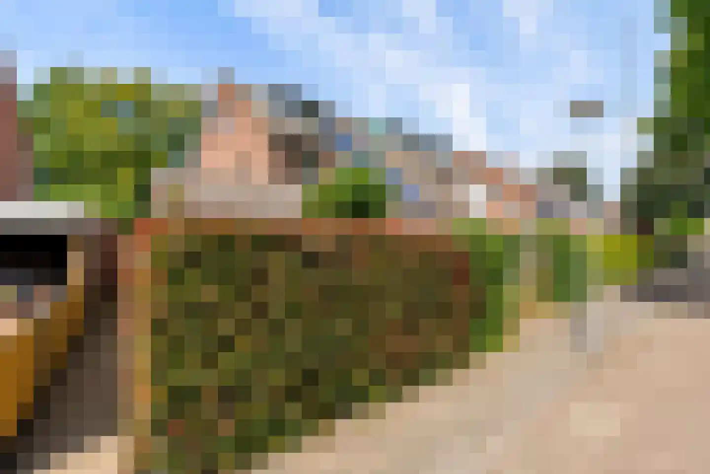 Bietenakker 29 Wezep thumbnail 56