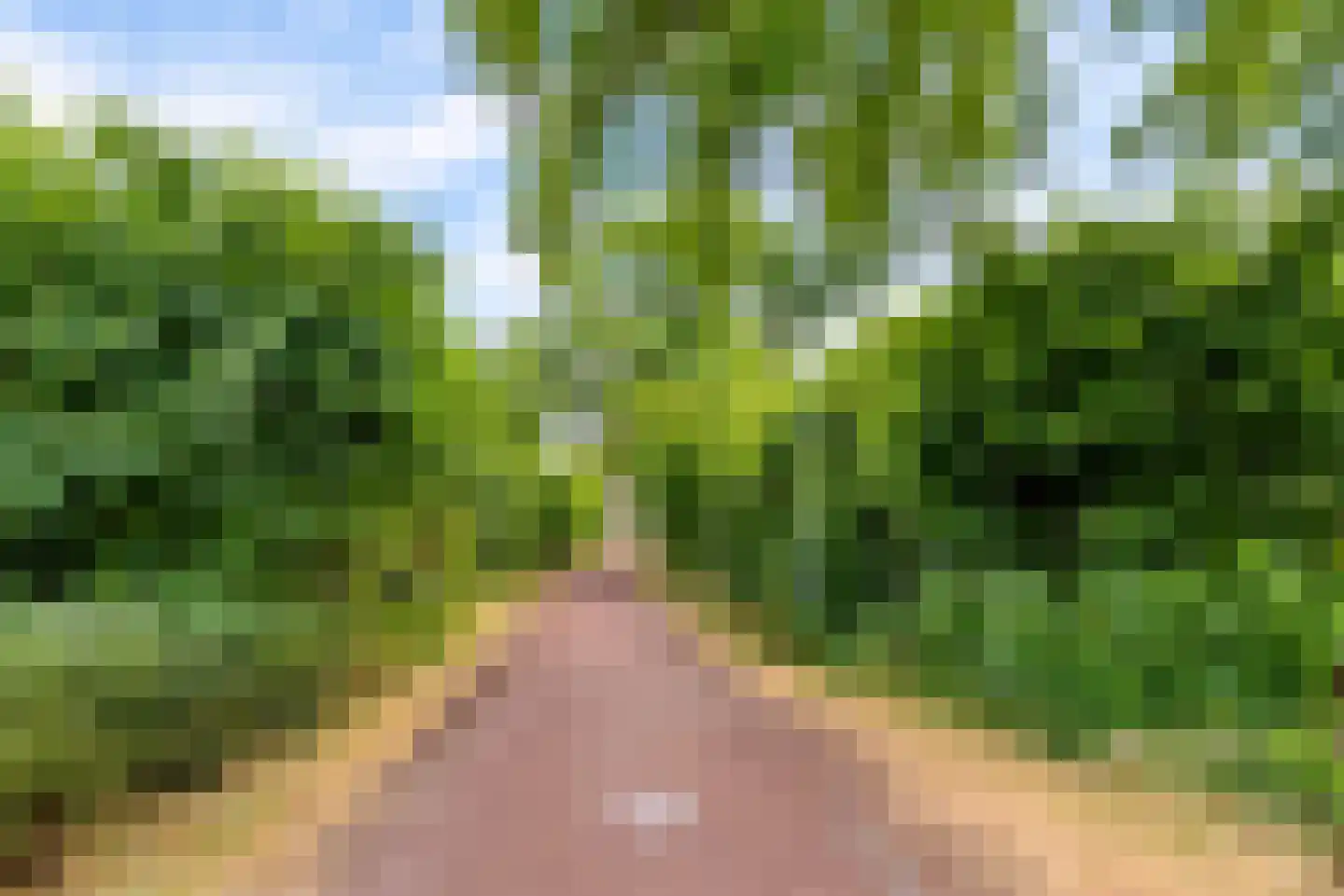Bietenakker 29 Wezep thumbnail 62