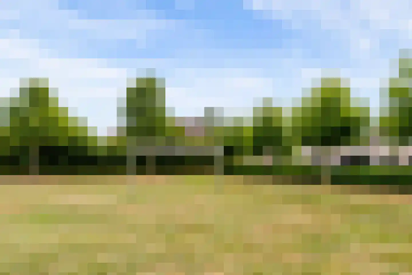 Bietenakker 29 Wezep thumbnail 63