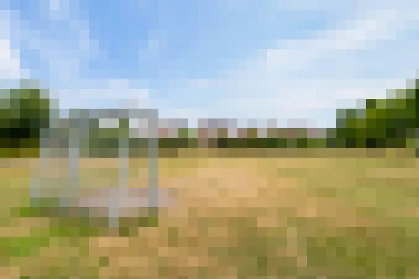 Bietenakker 29 Wezep thumbnail 64
